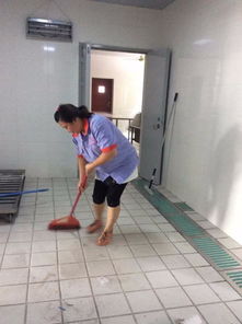 圖 上海專業(yè)工程開(kāi)荒保潔 日常保潔 地毯清洗 工廠保潔外包等服務(wù) 上海保潔清洗